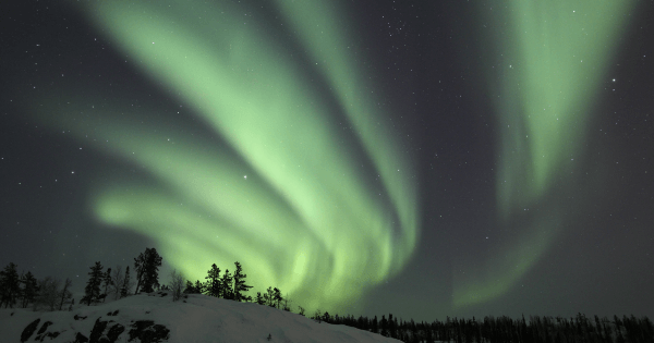 Aurora3