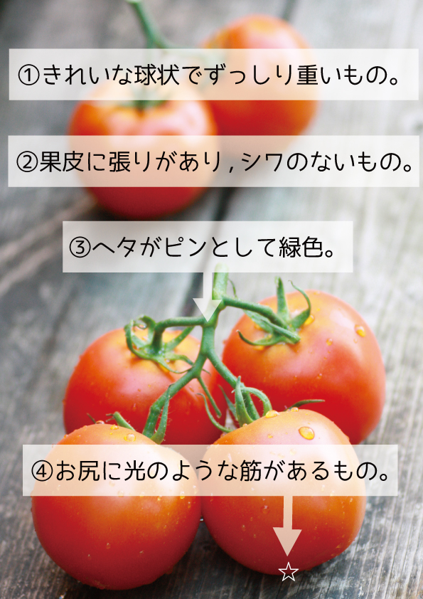 tomatohowtolook1124no3