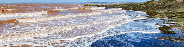 Joggins Fossil Cliffs  UNESCO World Natural Heritage Site at Joggins  Nova Scotia  Canada