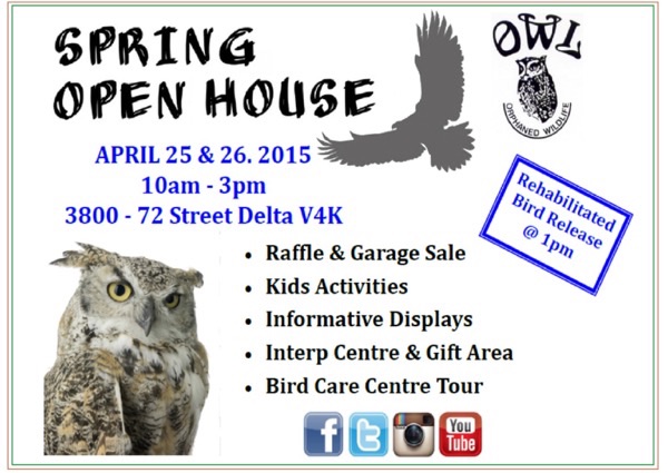 O.W.L open house フライヤー