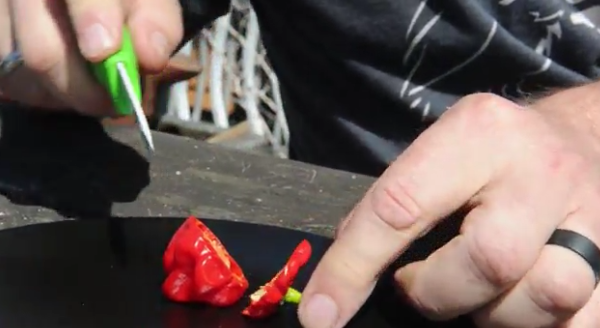 Vancouver man grows world’s hottest pepper  400 times hotter than the average jalapeño   National Post2