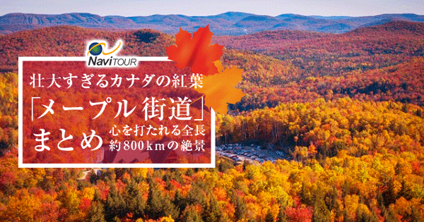 紅葉様 一生忘れられない全長約800km秋の絶景！カナダの紅葉「メープル街道