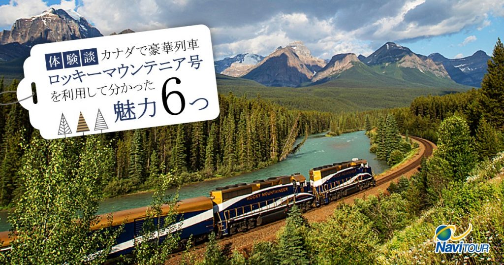 r*n様 11日　水曜日　20時　販売終了予定 38 Mサイズ　ロッキーマウンテ r*n様 11日 水曜日 20時 販売終了予定 38 Mサイズ ロッキーマウンテ