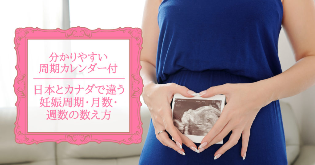 日本とカナダで違う 妊娠周期 月数 週数の数え方 分かり易い周期カレンダー付 Lifevancouver カナダ バンクーバー現地情報