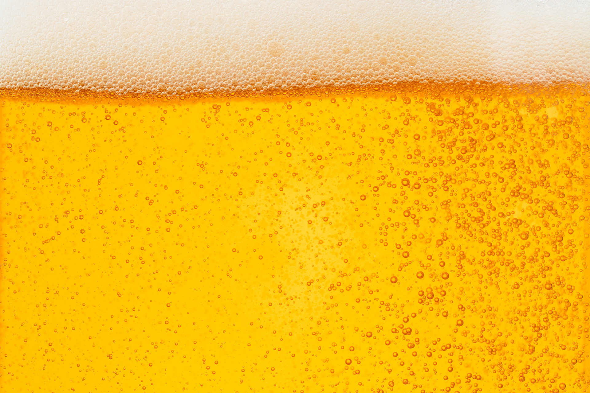 Pouring beer with bubble froth in glass for background
