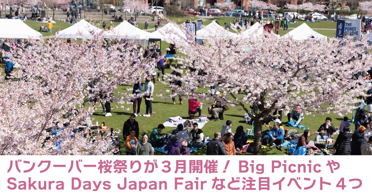 バンクーバー桜祭りが3月開催！お花見や桜デイズジャパンフェアなど