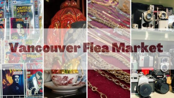 Record & Vinyl Show 2025 @Vancouver Flea Market @ Vancouver | British Columbia | カナダ