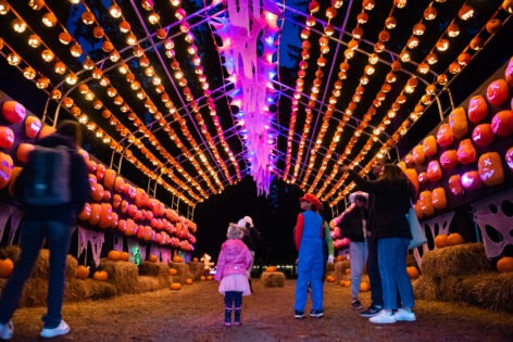パンプキンズ・アフター・ダーク(Pumpkins After Dark)2025 @ Swangard Stadium & Central Park | Burnaby | British Columbia | カナダ