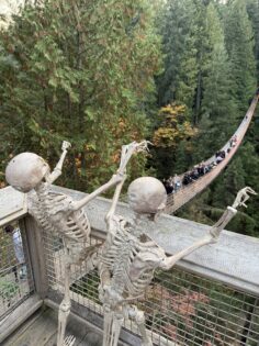 キャニオンフライツ(Canyon Frights) 2026 @ North Vancouver | British Columbia | カナダ