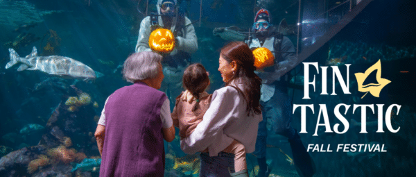 Fin-tastic Fall Festival at バンクーバー水族館 @ Vancouver Aquarium | Vancouver | British Columbia | カナダ